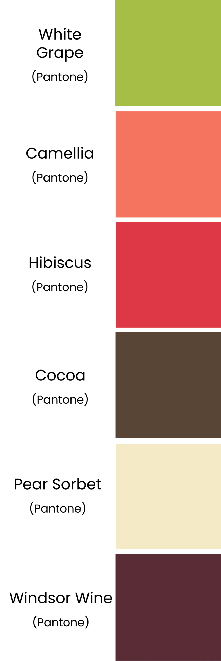 Autumn Season Colour Palette for UK Spring Summer 2025
